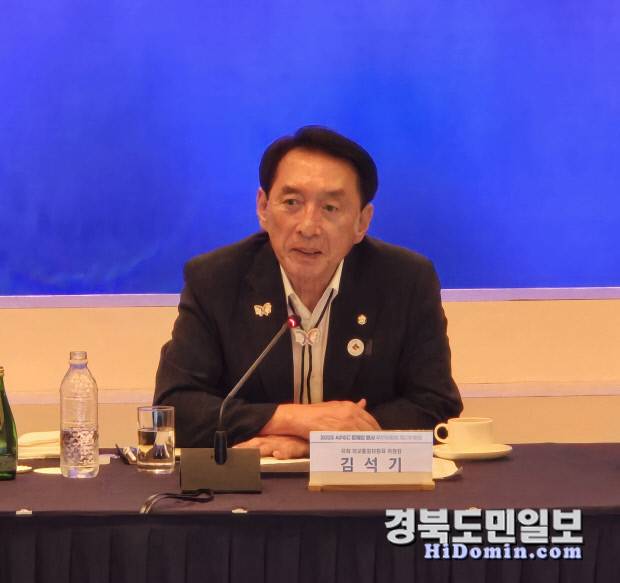 APEC 현안점검회의에서 관련 발언을 하는 김석기 국회외교통일위원장.