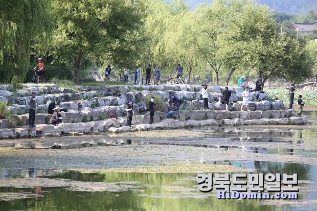 2025 경산시 생태계 교란 유해 외래어종 잡기 대회 참가자들.