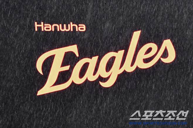 전광판에 뜬 이글스 로고가 빗줄기에 희미해졌다.