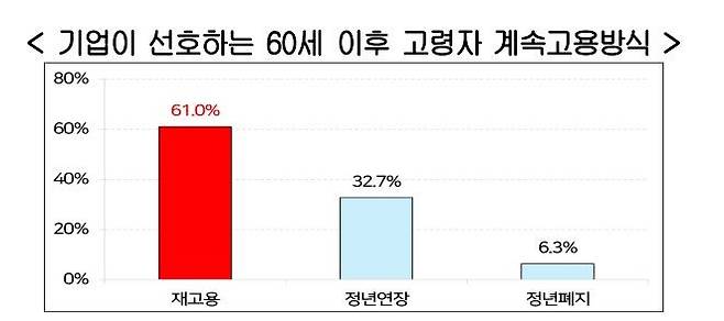 '고령자 계속 고용에 대한 기업 인식 및 실태조사' 내용. 사진=경총 보고서