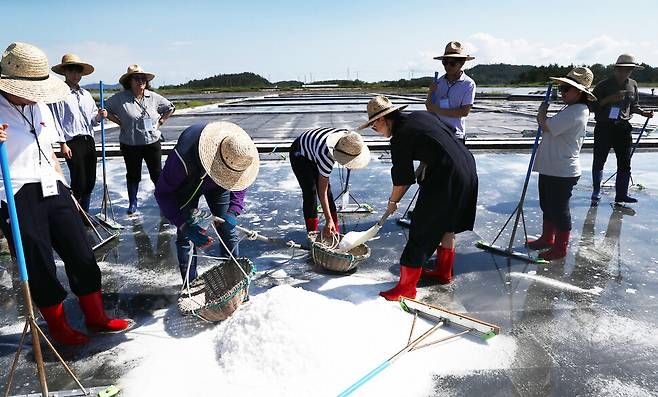 소금 체험에 나선 방문객들이 즐거워하고 있다. 증도 여행객들에게 인기 있는 여행 콘텐츠다. 박미향 기자
