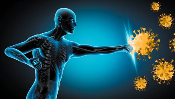 충청도를 대표하는 '게국지'는 면역력 강화 등 건강 유지에 도움이 된다. 사진은 본 기사 내용과 무관. [사진=McIntosh Dental]