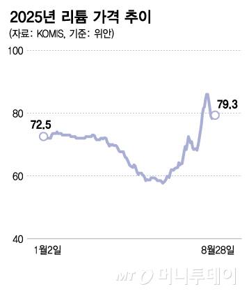 올들어 리튬 가격 추이/그래픽=김다나