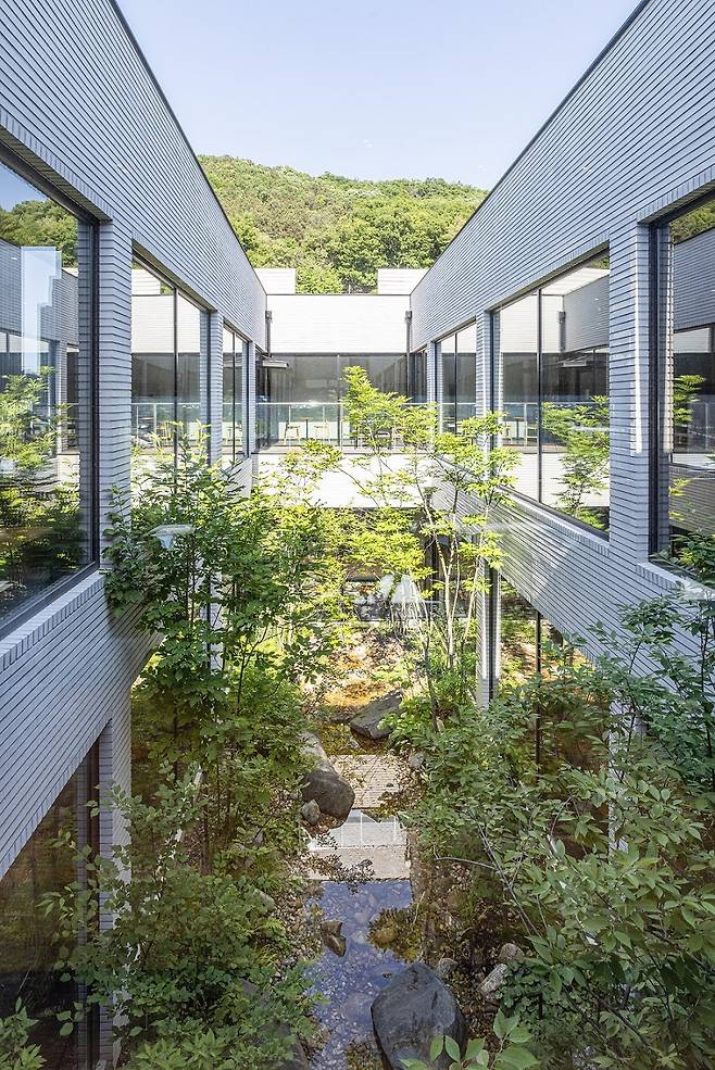 스타벅스 대전용운점