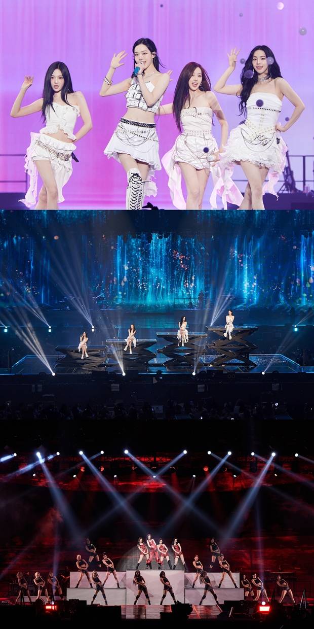 티브이데일리 포토