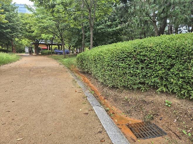 ▲ 29일 오후 인천 연수구 송도동 미추홀공원 황토길과 세족장에서 나온 물이 우수관으로 흘러들어가고 있다./ 안지섭 기자 ajs@incheonilbo.com