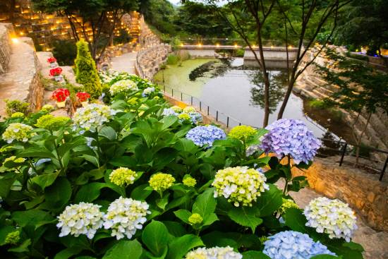 진주시는 지난 수년간 정원박람회를 개최하며 '월아산 국가정원' 조성을 위한 단계별 로드맵을 추진해왔다. 사진은 월아산 정원. 사진=진주시