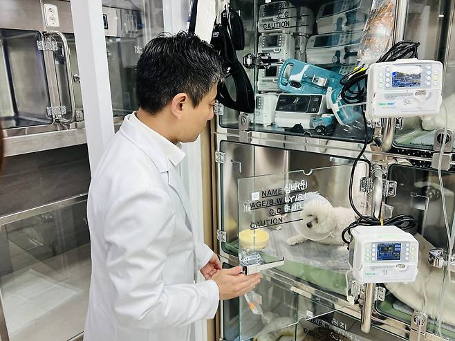 이민수 원장이 최근 십자인대 단열과 슬개골 탈구 수술 후 회복 중인 반려견을 살펴보고 있다. ⓒ 뉴스1