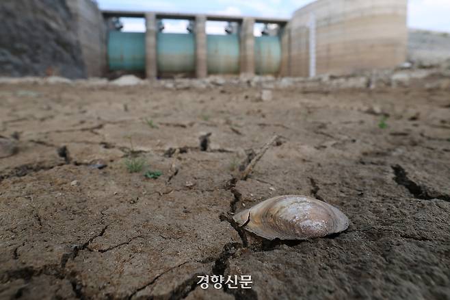 8월 31일 강원도 강릉시 성산면 오봉저수지 바닥이 말라있다. 정효진 기자