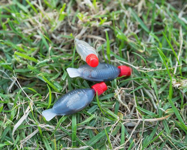 [게티이미지뱅크]