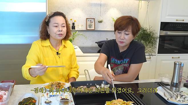 김학래 임미숙의 웃짜 채날 캡처