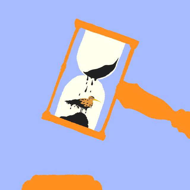 ⓒ시민건강연구소
