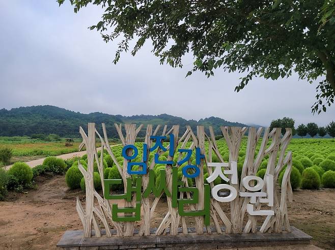 연천 임진강 댑싸리 정원 [연천군 제공. 재판매 및 DB 금지]