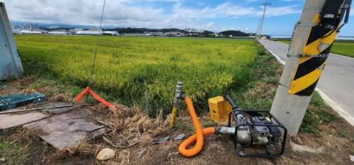 ◇무더위가 가시지 않은 2일 오후 강릉시 송정동 하평뜰이 극심한 가뭄으로 메말라 양수기를 동원해 지하수를 끌어오고 있지만 역부족이다.