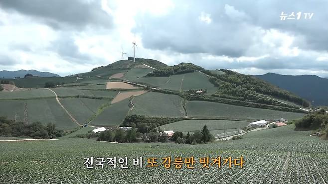 (뉴스1TV 갈무리)