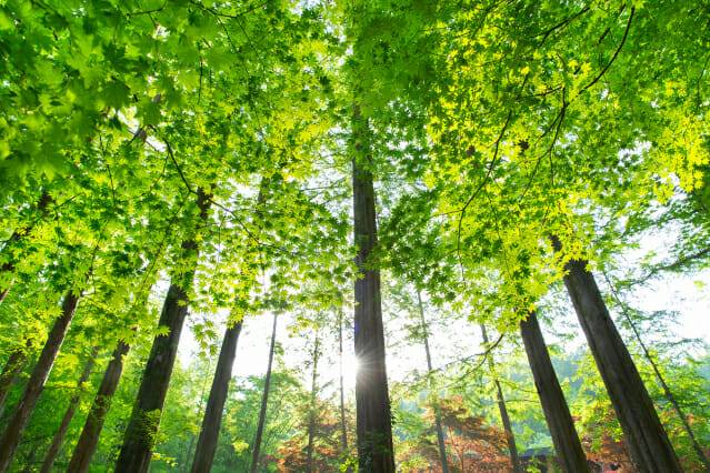 한국사회투자가 오는 8일까지 ESG 경영 컨설팅 지원사업 운영기관을 모집한다.(사진=이미지투데이)