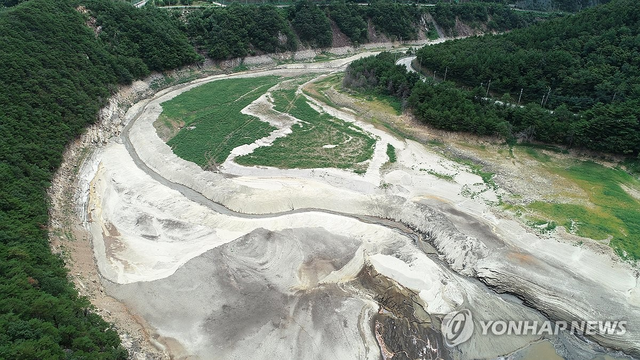 물 대신 풀만 무성한 강릉 오봉저수지. 연합뉴스