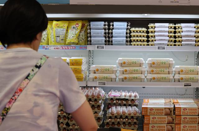 호우·폭염 속 먹거리 물가 불안 [연합뉴스]