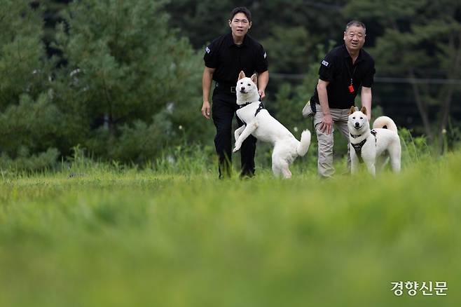 김태훈·신종필 양성교관이 두 진돗개를 훈련시키고 있다.