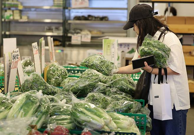 A shopper selects vegetables at a traditional market in Seoul on Sept. 2. [NEWS1]