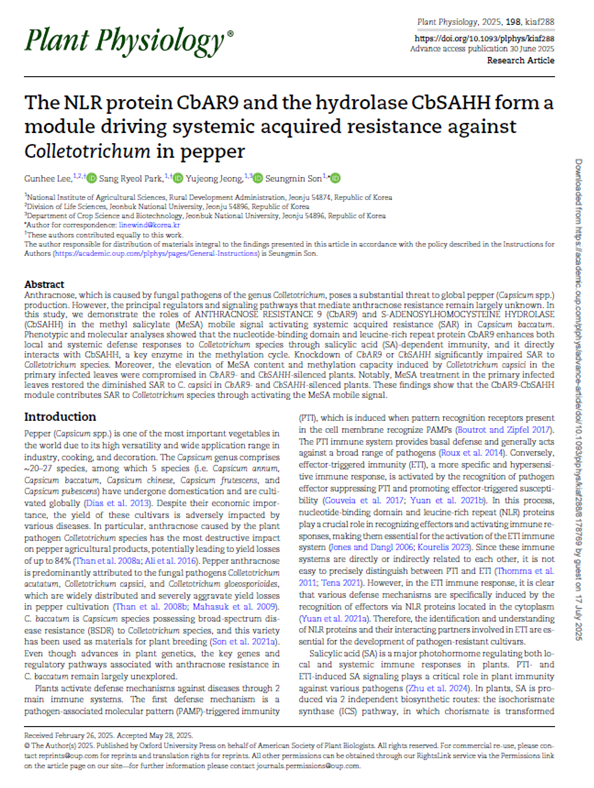 농촌진흥청 연구진은 탄저병 저항성 유도 과정을 밝히고 이를 국제 학술지 ‘Plant Physiology’에 게재했다. 농촌진흥청