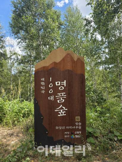 경북 청송 화장리 자작나무숲 입구에 설치된 대한민국 100대 명품숲 선정 기념 입간판. (사진=박진환 기자)