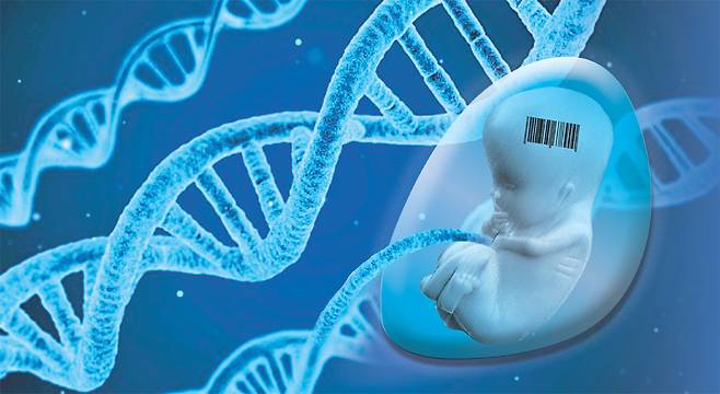 올해 6월 세계 최대 의료연구재단인 영국의 웰컴트러스트(Wellcome Trust)가 미생물이 아닌 인간의 유전체 합성 프로젝트를 시작한다고 밝혔다. 장기적으로 염색체 전체의 합성을 가능하게 하려는 계획이다. AI가 DNA 읽기를 지나 쓰기의 단계로 넘어간다면 인간은 진화의 굴레를 벗어나 ‘설계된’ 생명체로 거듭날 수 있게 된다. 그렇게 생겨난 인류의 후손은 ‘호모 사피엔스’로 부를 수 없을 것이다. 새롭게  합성될 인간 종 호모 신테티쿠스(Homo syntheticus)는 질병과 노화를 넘어서는 것은 물론 이전까지 상상하지 못하는 새로운 형질들을 갖출 수도 있다.