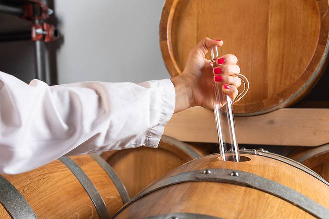 위스키 양조장 모습.[게티이미지뱅크]