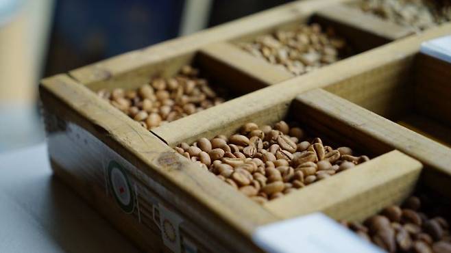 제주커피박물관 바움. 비짓제주 홈페이지