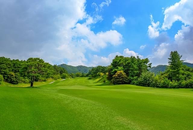 더 시에나 서울CC 제공