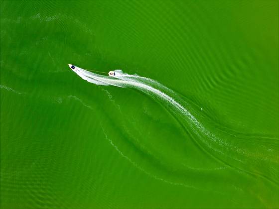 7월 11일 경북 칠곡군 지천지에 녹조가 발생하며 물색이 초록빛으로 변한 가운데 피서객들이 수상 레포츠를 즐기고 있다. 연합뉴스