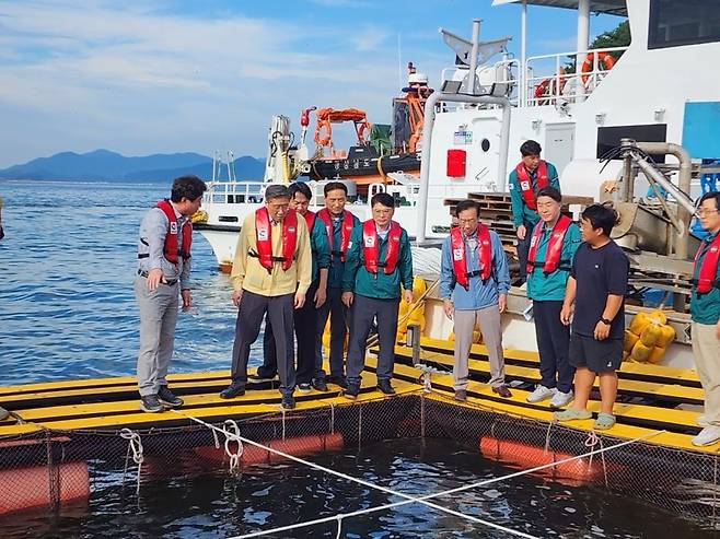 홍래형 수산정책실장이 통영시 적조 발생현장을 방문해 현장 점검을 하고있다. ⓒ통영시