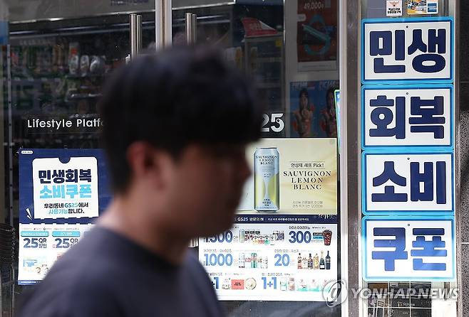 민생회복 소비쿠폰  [연합뉴스 자료사진]