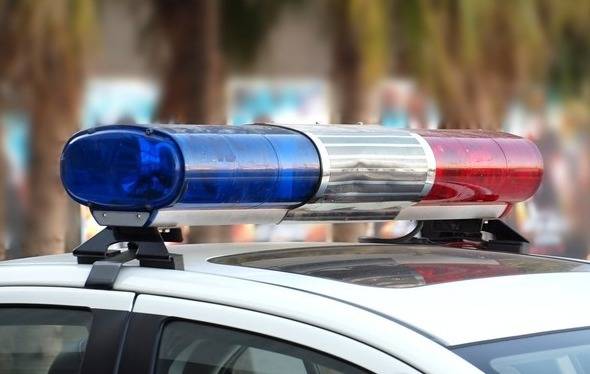 순찰차. [사진 = 연합뉴스]