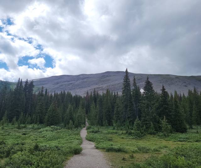 첫인상이 아름다운 파커 릿지 트레일 헤드. 하태길 겸임교수