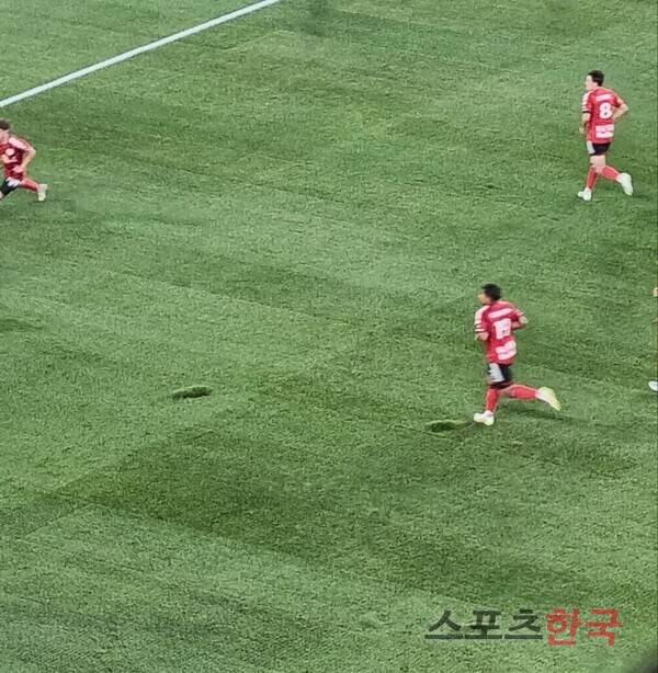 깊게 파인 부분이 보이는 스포츠일러스트레이티드 스타디움 잔디. ⓒ스포츠한국 김성수 기자