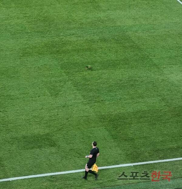 ⓒ스포츠한국 김성수 기자