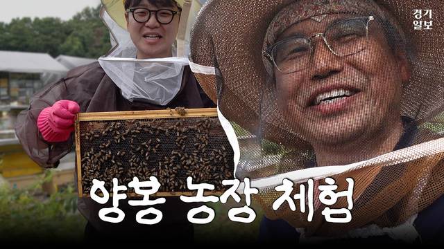 [썸네일] 양봉장에 말벌이 500마리나?...양봉 업자 하루 직접 겪어보니. 허수빈 PD
