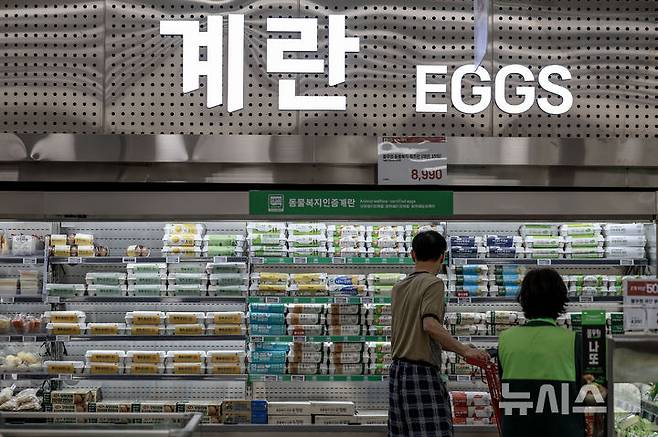 [서울=뉴시스] 정병혁 기자 = 5일 서울시내 한 대형마트에서 소비자들이 계란을 살펴보고 있다. 추석 성수기를 앞두고 고공행진 중인 계란 가격이 더 오를 것이라는 전망이 나왔다. 한국농촌경제연구원(KREI) 농업관측센터가 발간한 농업관측 산란계 9월호에 따르면 이달 계란 산지가격은 특란 10구 기준 1900~1950원으로 전망됐다. 1년 전(1686원)보다 최대 15.7% 오르는 수치다. 2025.09.05. jhope@newsis.com