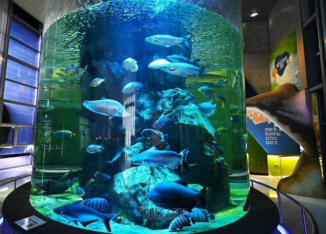 섬진강어류생태관.