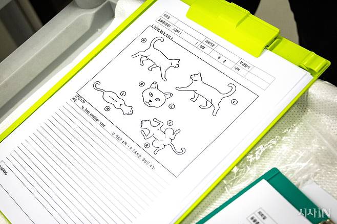 동물 사체를 부검하는 과정에서 기록하는 보고서 양식. ⓒ시사IN 박미소