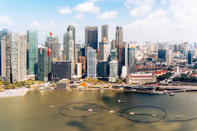 스카이파크에서는 싱가포르의 스카이라인이 광활하게 펼쳐진다