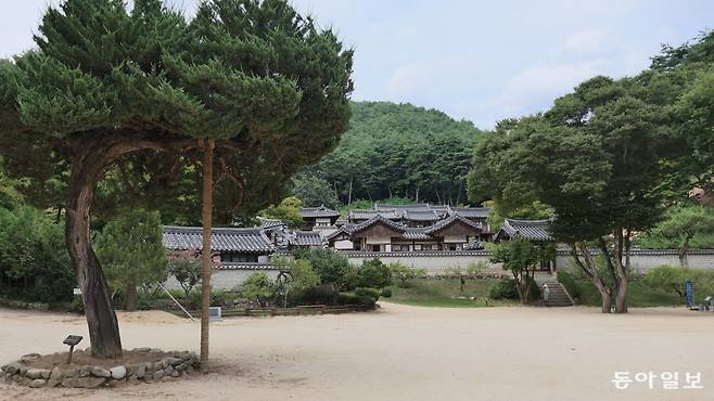 안동 도산서원. 도산 기슭에 단정하게 앉은 기와지붕들이 서로를 의지하는 듯, 따뜻해 보인다.