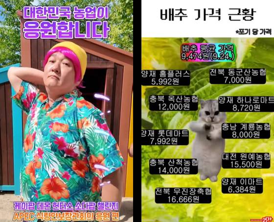 농식품부 대변인이 참여한 홍보 콘텐트와 밈을 활용한 배추 가격 안내 콘텐트. 농림축산식품부 인스타그램 캡쳐