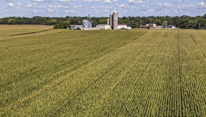 미국 위스콘신주의 한 옥수수밭 전경. <연합뉴스>