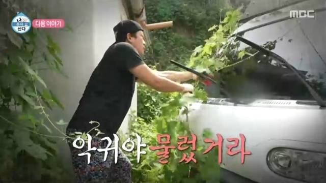 MBC ‘나 혼자 산다’ 캡처