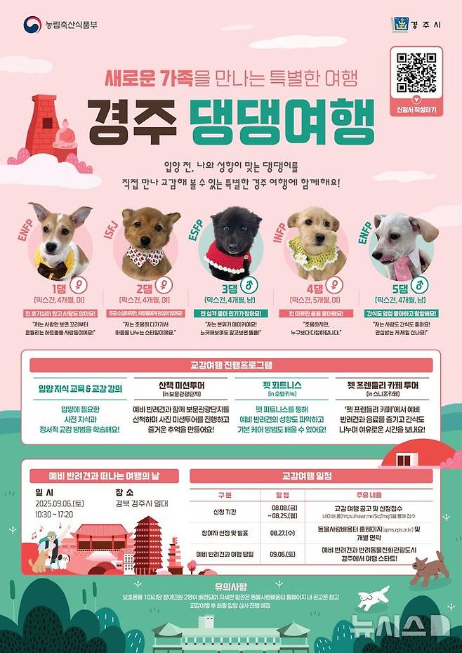 경주 '댕댕여행' 신청자 모집 포스터