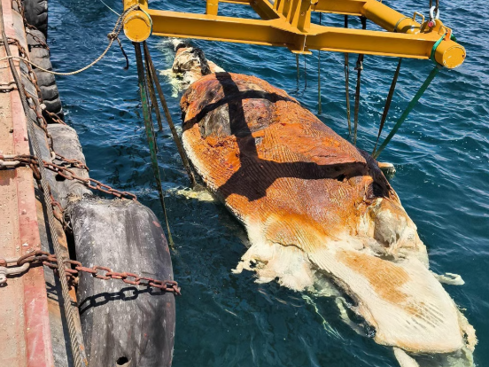 출처-=홍콩자연보전당국