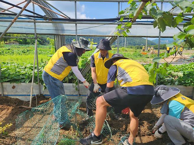경기신용보증재단 임직원들이 지난달 22일 가평군 수해복구를 위한 자원봉사를 진행했다. <경기신용보증재단 제공>