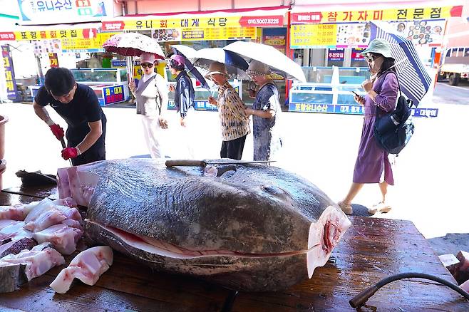 개복치 해체 장면을 행인들이 바라보고 있다. /김훈 사진작가 제공